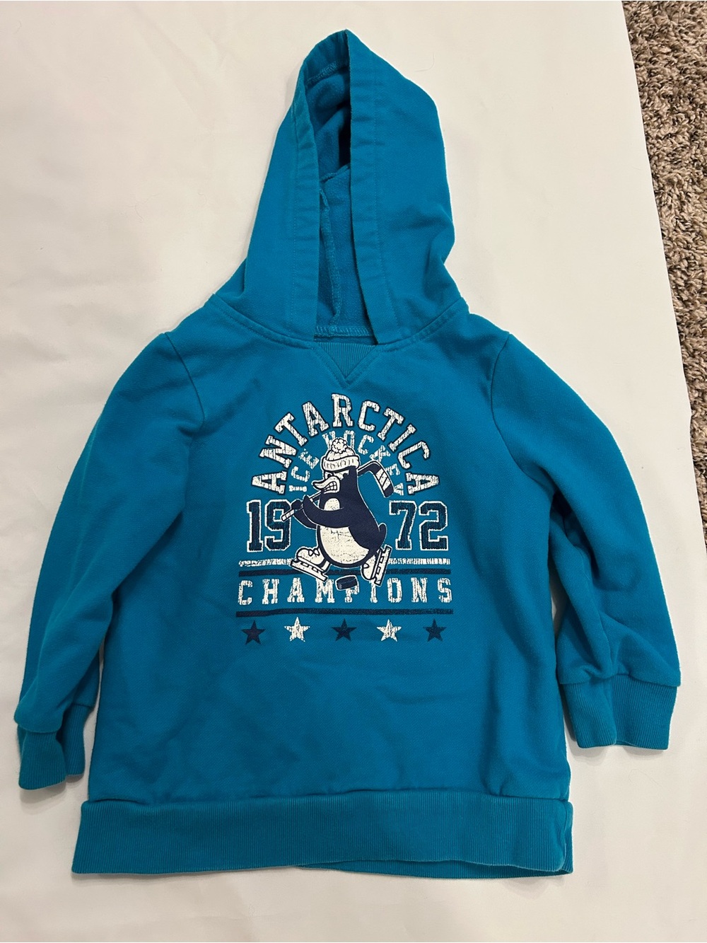The Children's Place Teal Pullover Hoodie with Penguin Graphic